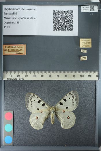 Media type: image;   Entomology 175377